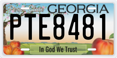 GA license plate PTE8481