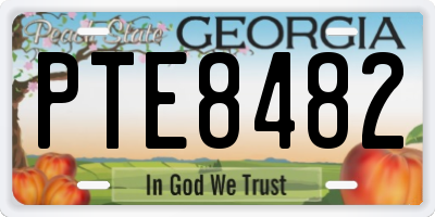 GA license plate PTE8482