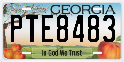 GA license plate PTE8483