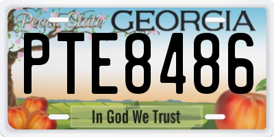 GA license plate PTE8486