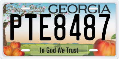 GA license plate PTE8487