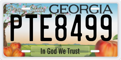 GA license plate PTE8499