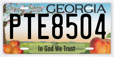 GA license plate PTE8504