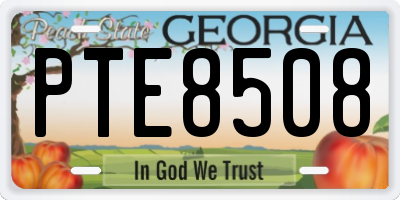 GA license plate PTE8508