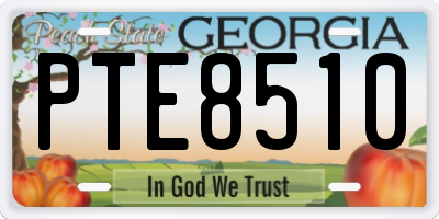 GA license plate PTE8510