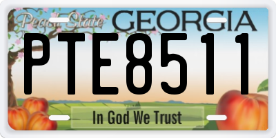 GA license plate PTE8511
