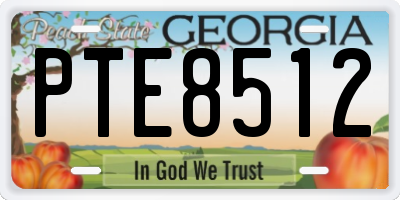 GA license plate PTE8512