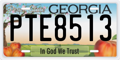 GA license plate PTE8513