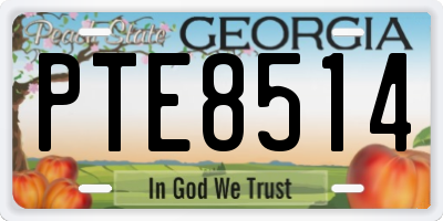 GA license plate PTE8514