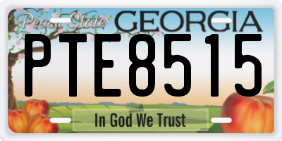 GA license plate PTE8515