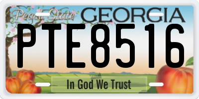 GA license plate PTE8516