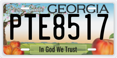 GA license plate PTE8517