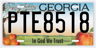 GA license plate PTE8518