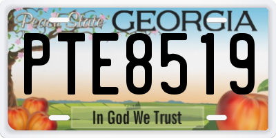 GA license plate PTE8519