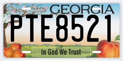 GA license plate PTE8521