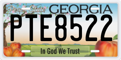 GA license plate PTE8522