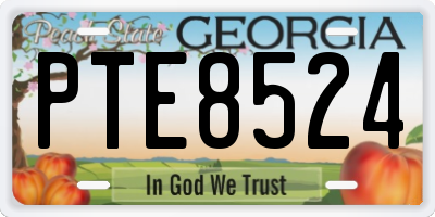 GA license plate PTE8524