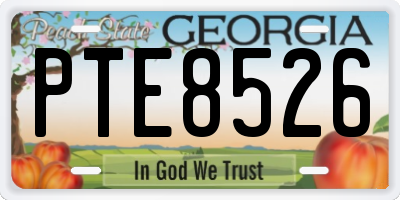 GA license plate PTE8526