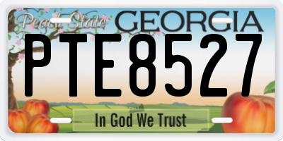 GA license plate PTE8527