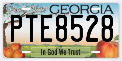 GA license plate PTE8528