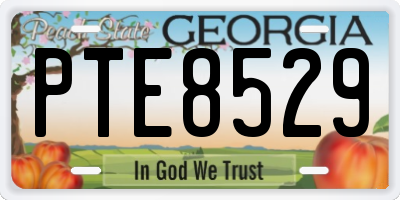 GA license plate PTE8529