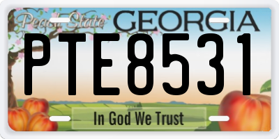 GA license plate PTE8531