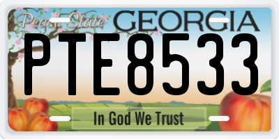GA license plate PTE8533