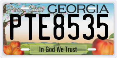 GA license plate PTE8535