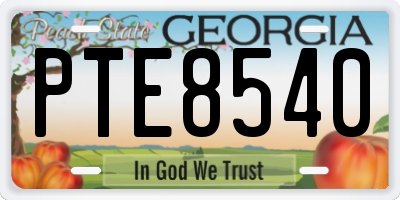 GA license plate PTE8540