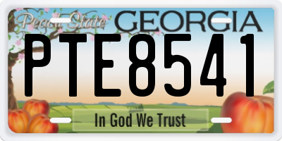 GA license plate PTE8541