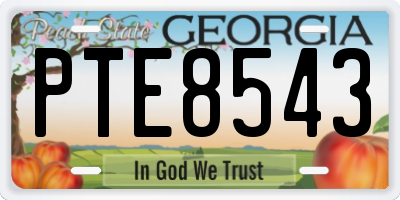 GA license plate PTE8543