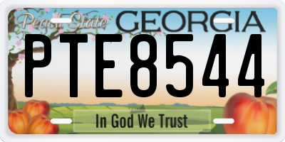 GA license plate PTE8544