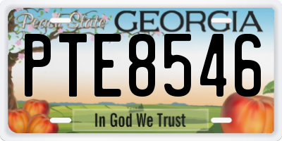 GA license plate PTE8546