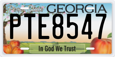 GA license plate PTE8547
