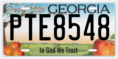 GA license plate PTE8548