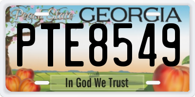 GA license plate PTE8549