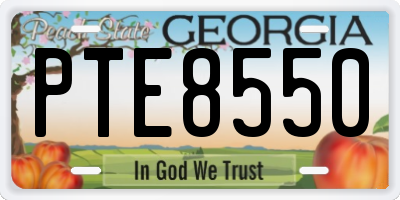 GA license plate PTE8550