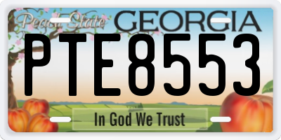 GA license plate PTE8553