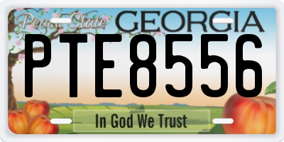 GA license plate PTE8556
