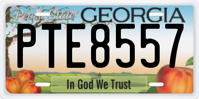 GA license plate PTE8557