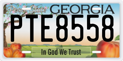 GA license plate PTE8558