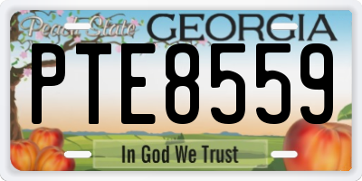 GA license plate PTE8559