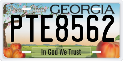 GA license plate PTE8562