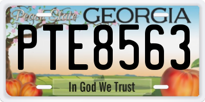 GA license plate PTE8563
