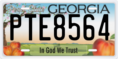 GA license plate PTE8564