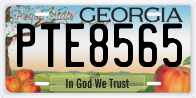 GA license plate PTE8565