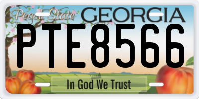 GA license plate PTE8566