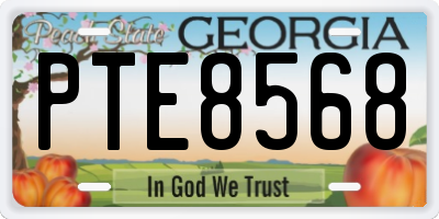 GA license plate PTE8568