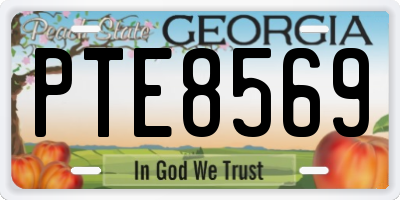 GA license plate PTE8569