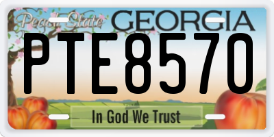 GA license plate PTE8570